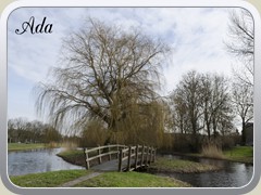 2019-02-26 Buiten 01