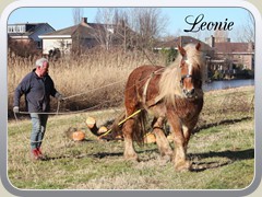 2019-02-26 Buiten 02