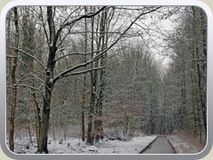 2019-02-26 Buiten 03