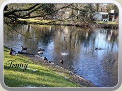 2019-02-26 Buiten 06