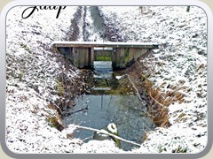 2019-02-26 Buiten 07