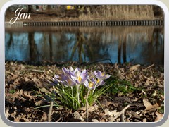 2019-02-26 Buiten 10