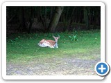 2019-09 Zomer kiekjes Evert 02