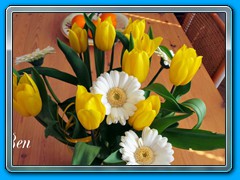 2020-09 thema Veel kleur 09
