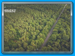 2021-07 ketting Tomasz 01