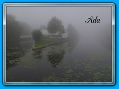 2021-10-26 05 thema mist a