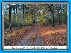 2022-11 thema Herfst 02