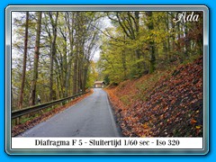 2022-11 thema Herfst 06