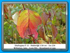 2022-11 thema Herfst 07